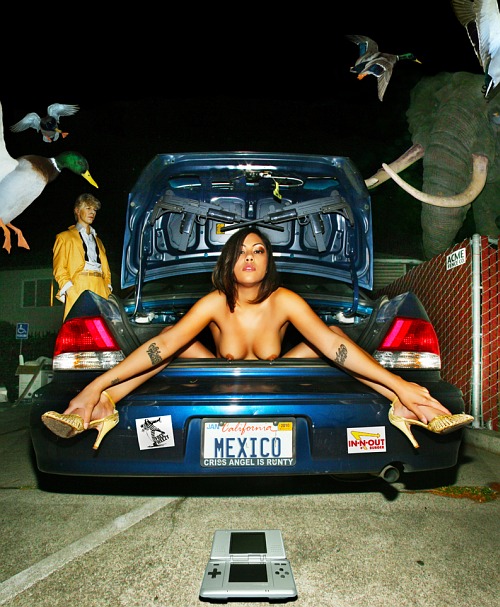 Melinda Sits M Style Under Crossed Uzis in The Trunk of Her Blue Car Bearing California Mexico Vanity Plates & Free Weezy & In-n-Out Stickers Behind a Nintendo DS as a Quartet of Ducks Flap About, Wax David Bowie Checks His Pockets & an Elephant ...