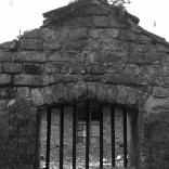 Ruine im Ostragehege, Dresden 2010