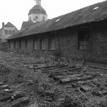 Ruine im Ostragehege, Dresden 2010