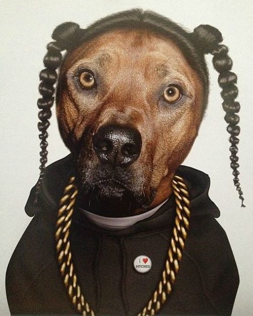 Snoop Dogg Dog